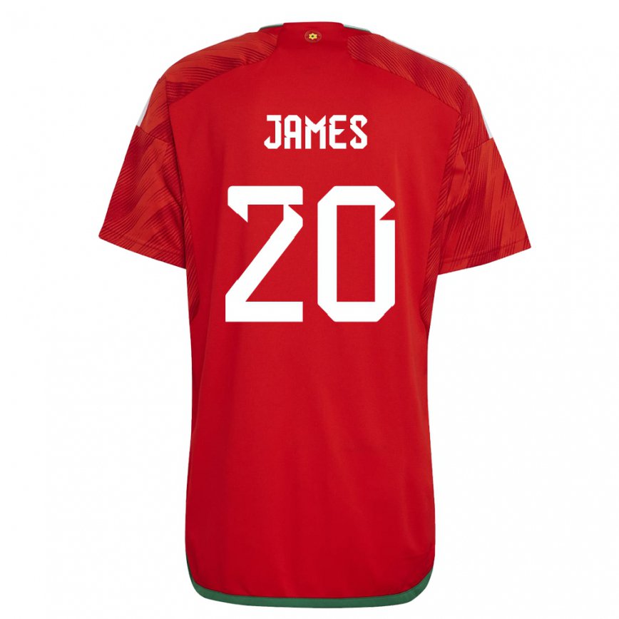 Vaikiškas Velso Daniel James #20 Raudona Namų Marškinėliai 22-24 T-shirt