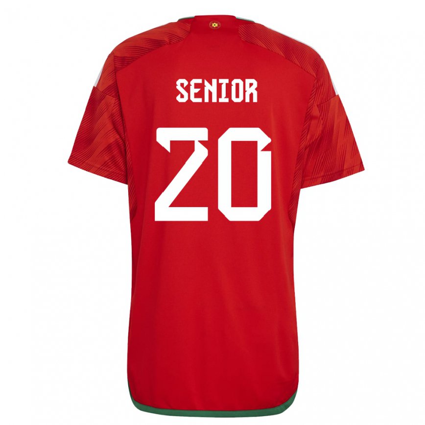 Vaikiškas Velso Matt Senior #20 Raudona Namų Marškinėliai 22-24 T-shirt