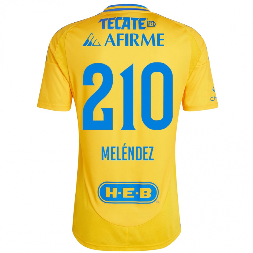 Vyrai Marcelo Meléndez #210 Auksinė Geltona Namų Marškinėliai 2024/25 T-Shirt