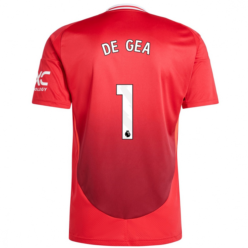 Vaikiškas David De Gea #1 Ryškiai Raudona Namų Marškinėliai 2024/25 T-Shirt