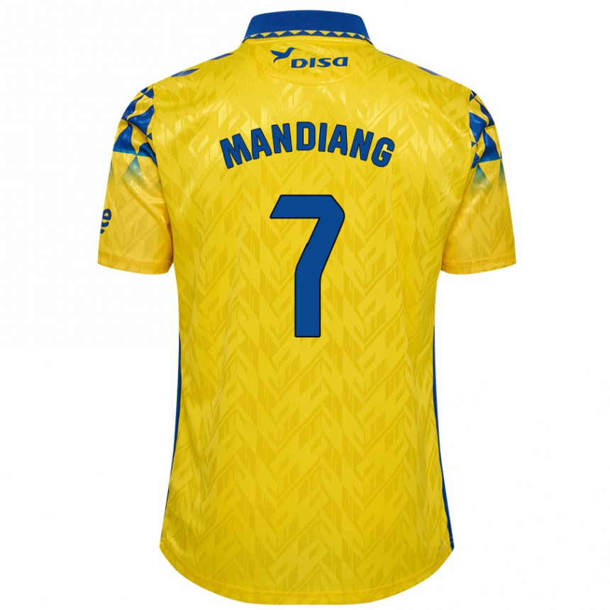 Vaikiškas Saliou Mandiang #7 Geltona Mėlyna Namų Marškinėliai 2024/25 T-Shirt